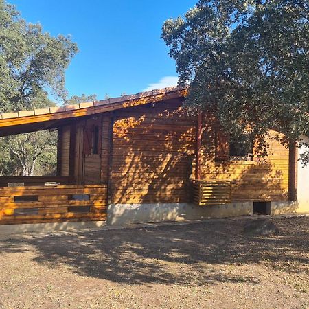 chalet Porticcio Corse Fontanaccio Exterior foto